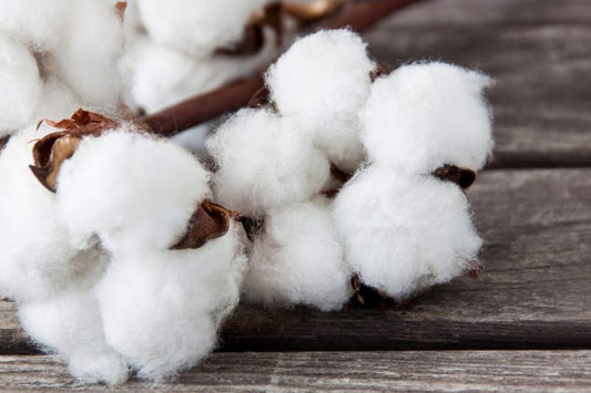 Tessuti: il COTONE
