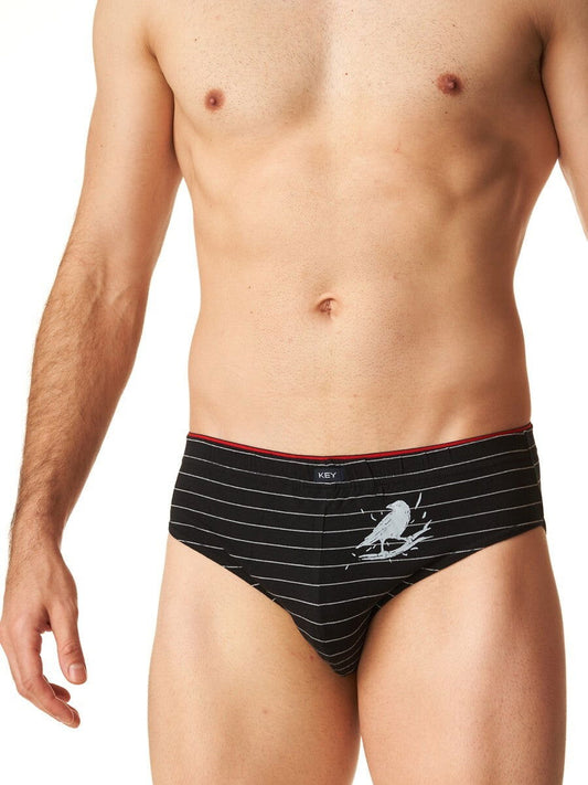 Slip in cotone elasticizzato - DANIL - Pack da 2 pezzi - Lullaby Lingerie
