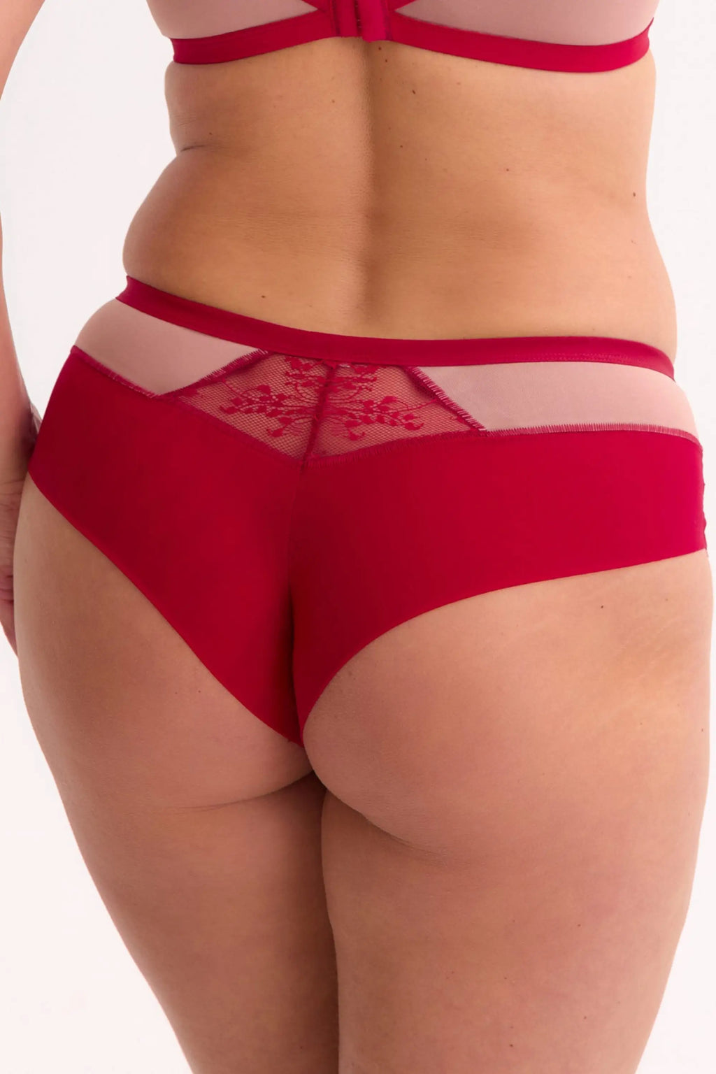 Slip donna brasiliane in pizzo e microfibra - aina frida