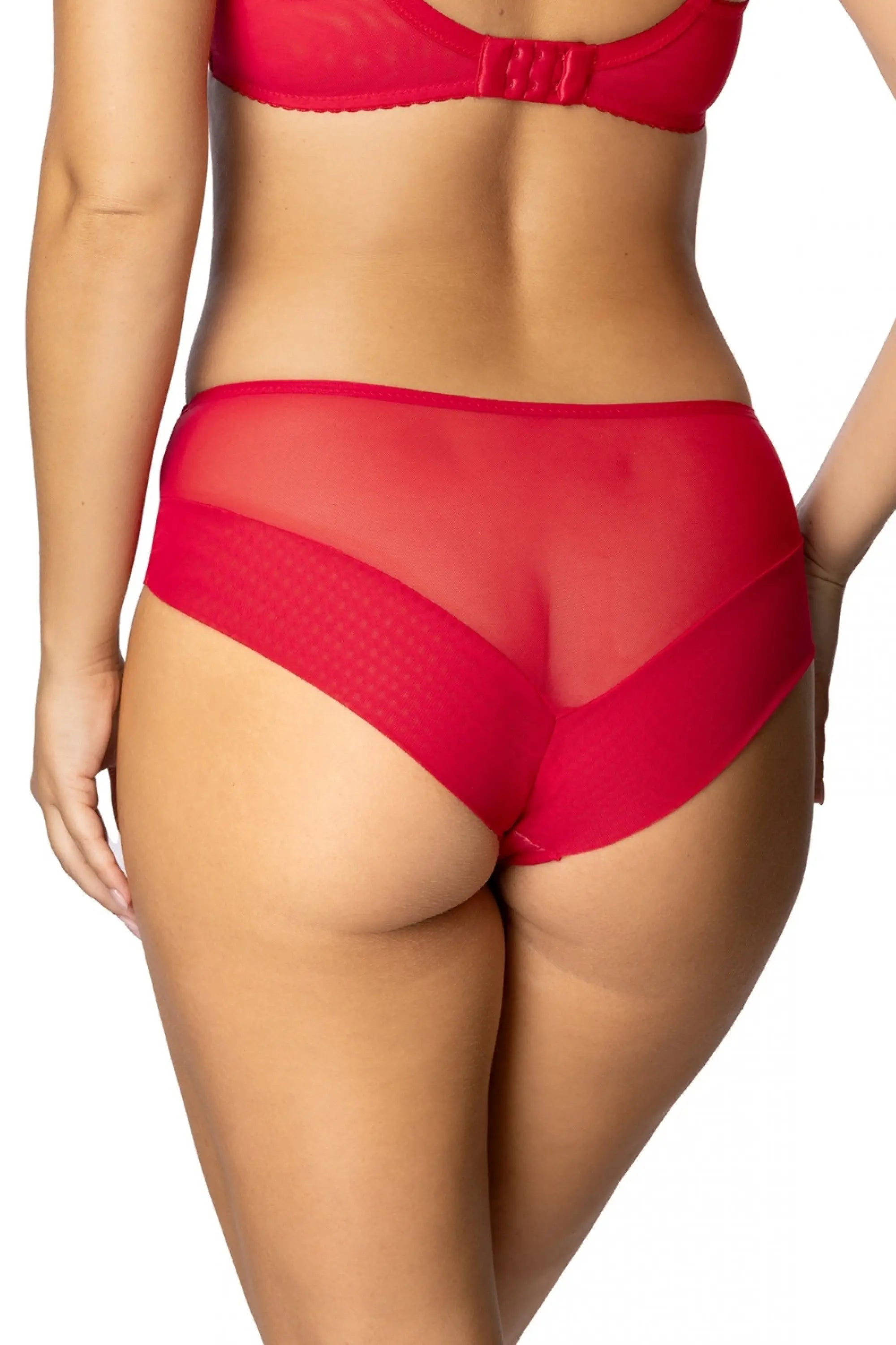 Slip donna classici in tulle e pizzo - zelia