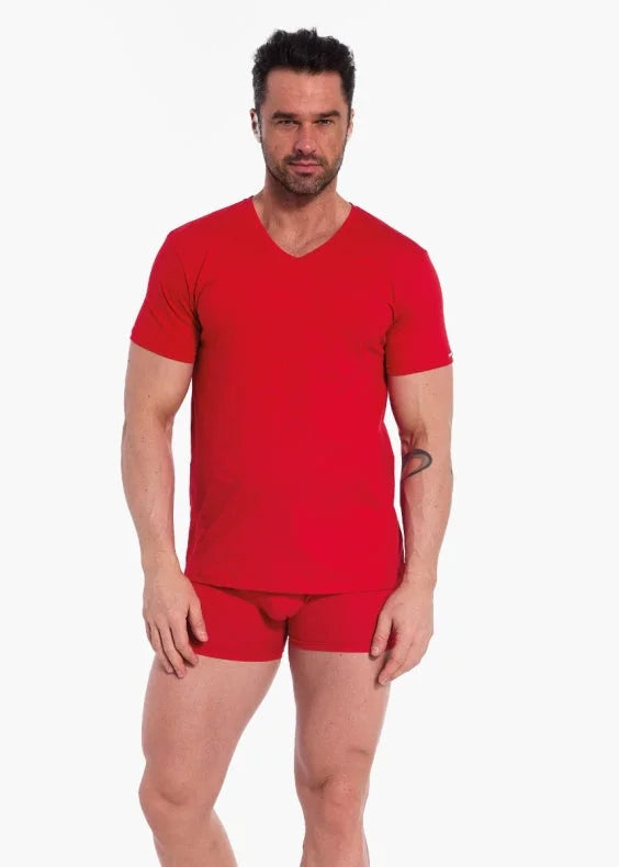 T-shirt uomo scollo a v - 100% cotone soft-touch (authentic